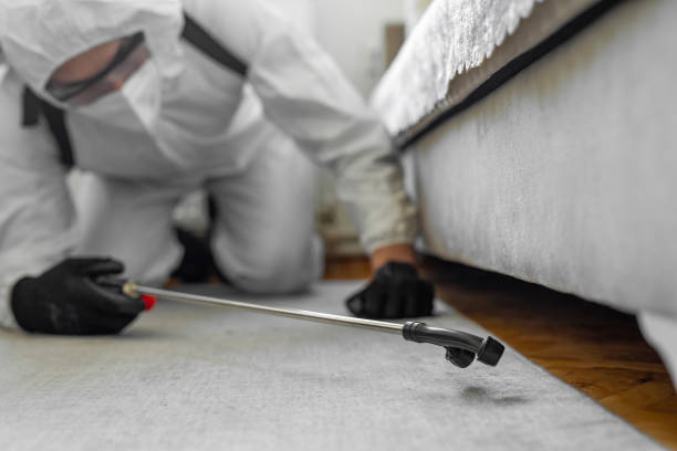 Professional Ant Control technician working in Bon Secour, AL