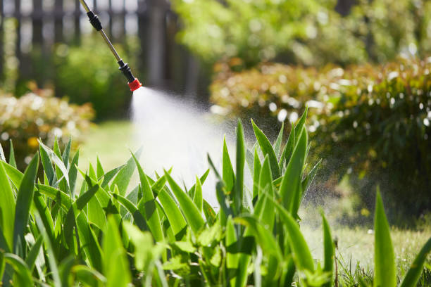 24/7 Emergency Ant Control experts in Bon Secour, AL