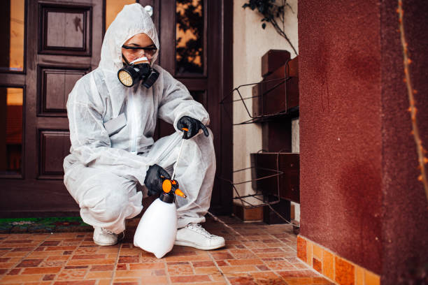 Reliable Ant Control contractor in Bon Secour, AL by Nex Pest Control