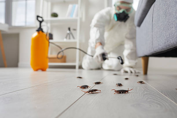 Trusted Termite Control service in Bon Secour, AL - Nex Pest Control